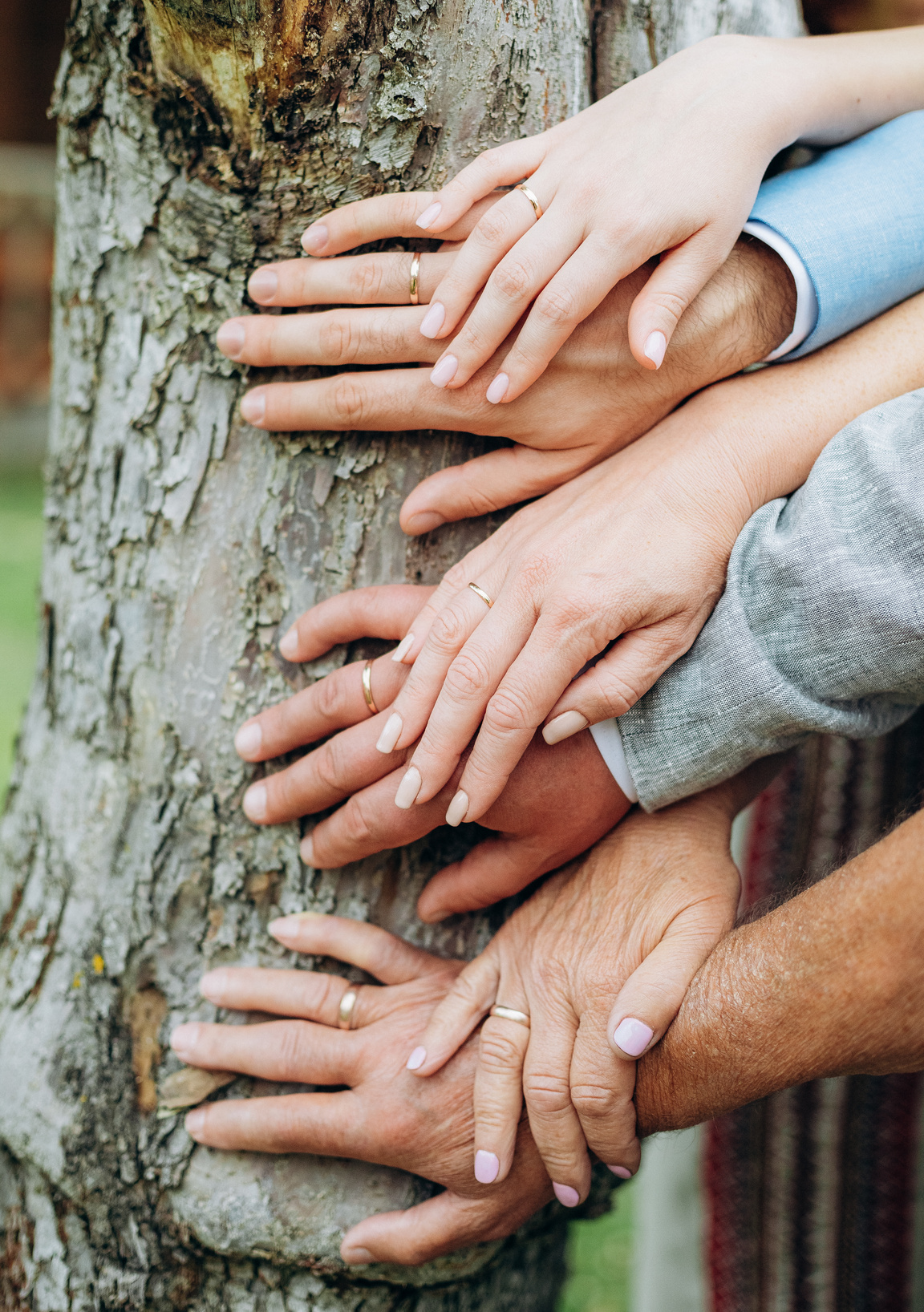 hands couples three generations family tree conceptual